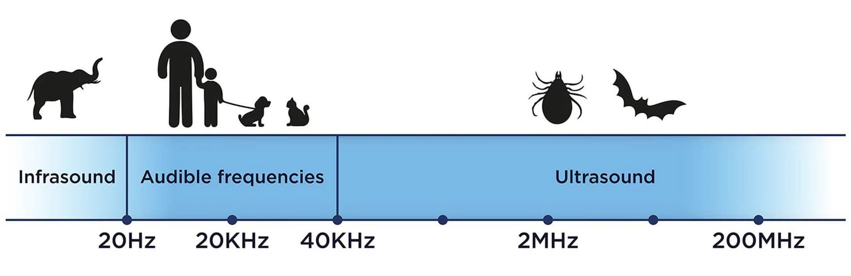PET punkkikarkotin, view: 6