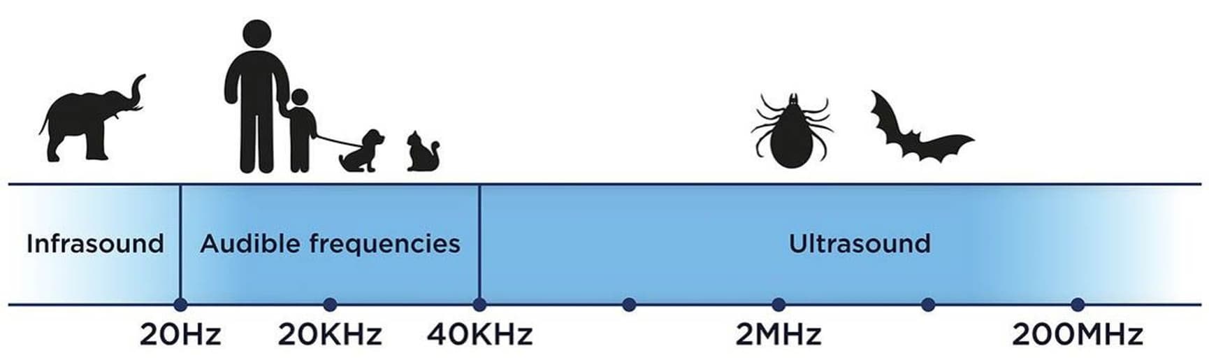 BABY/KID punkkikarkoitin, view: 5