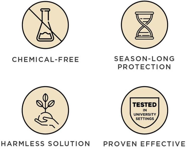 BABY/KID punkkikarkoitin, view: 4