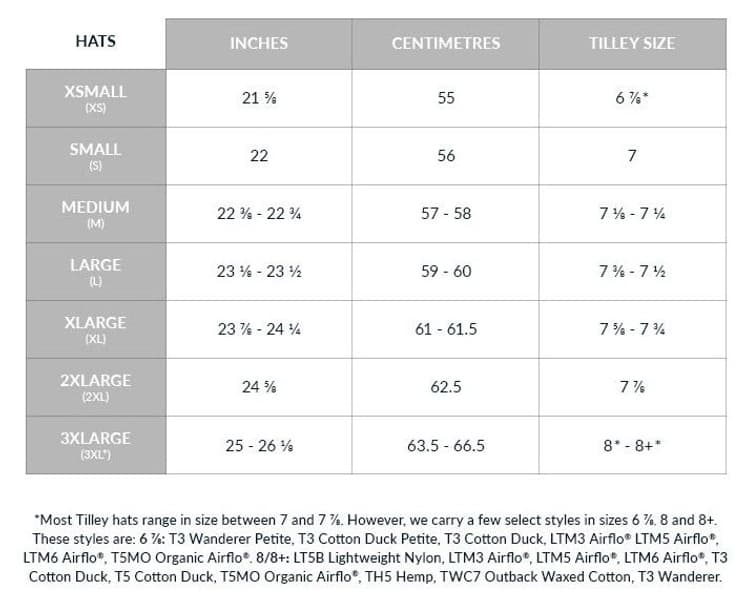 T3 Wanderer Olive, view: 1