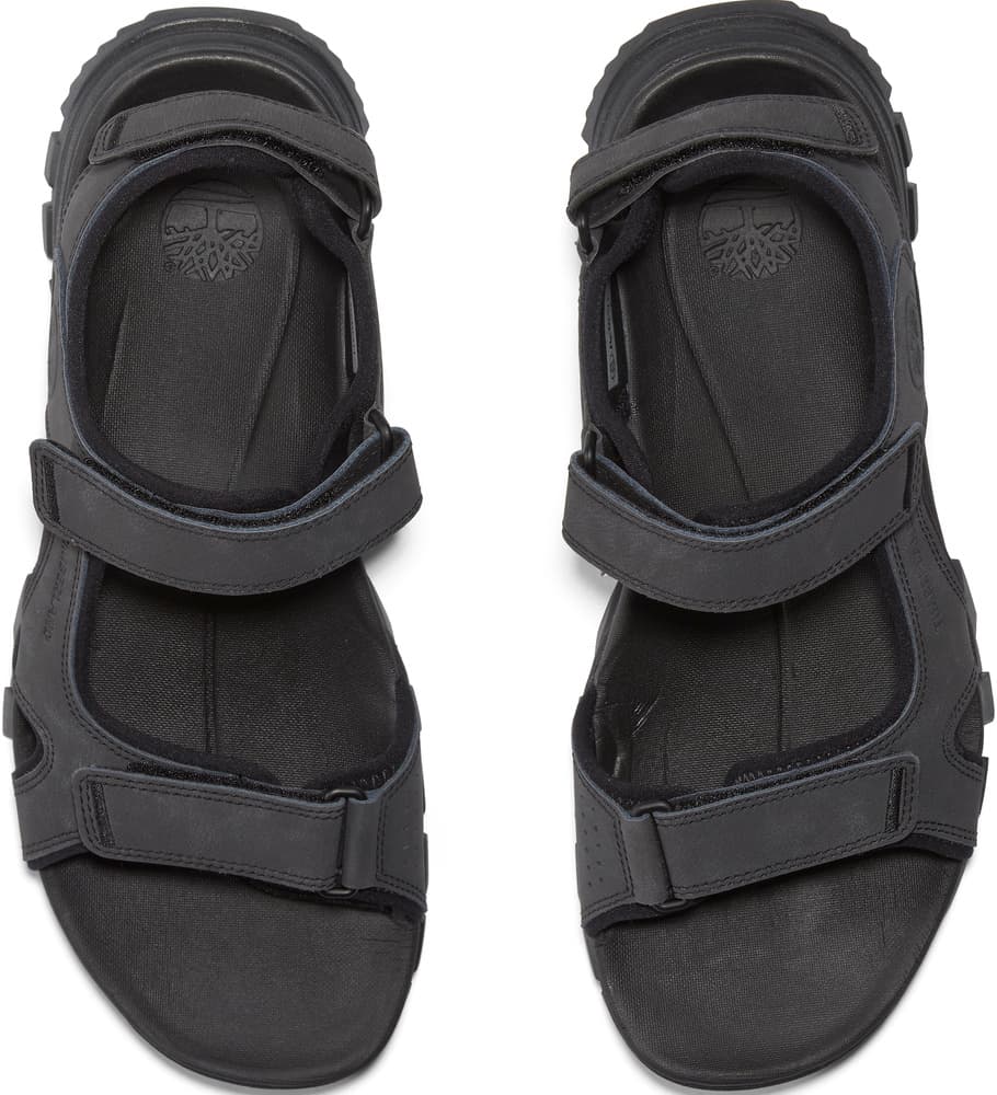 Lincoln Peak 2 Strap Sandal sandaalit, Jet Black, view: 3