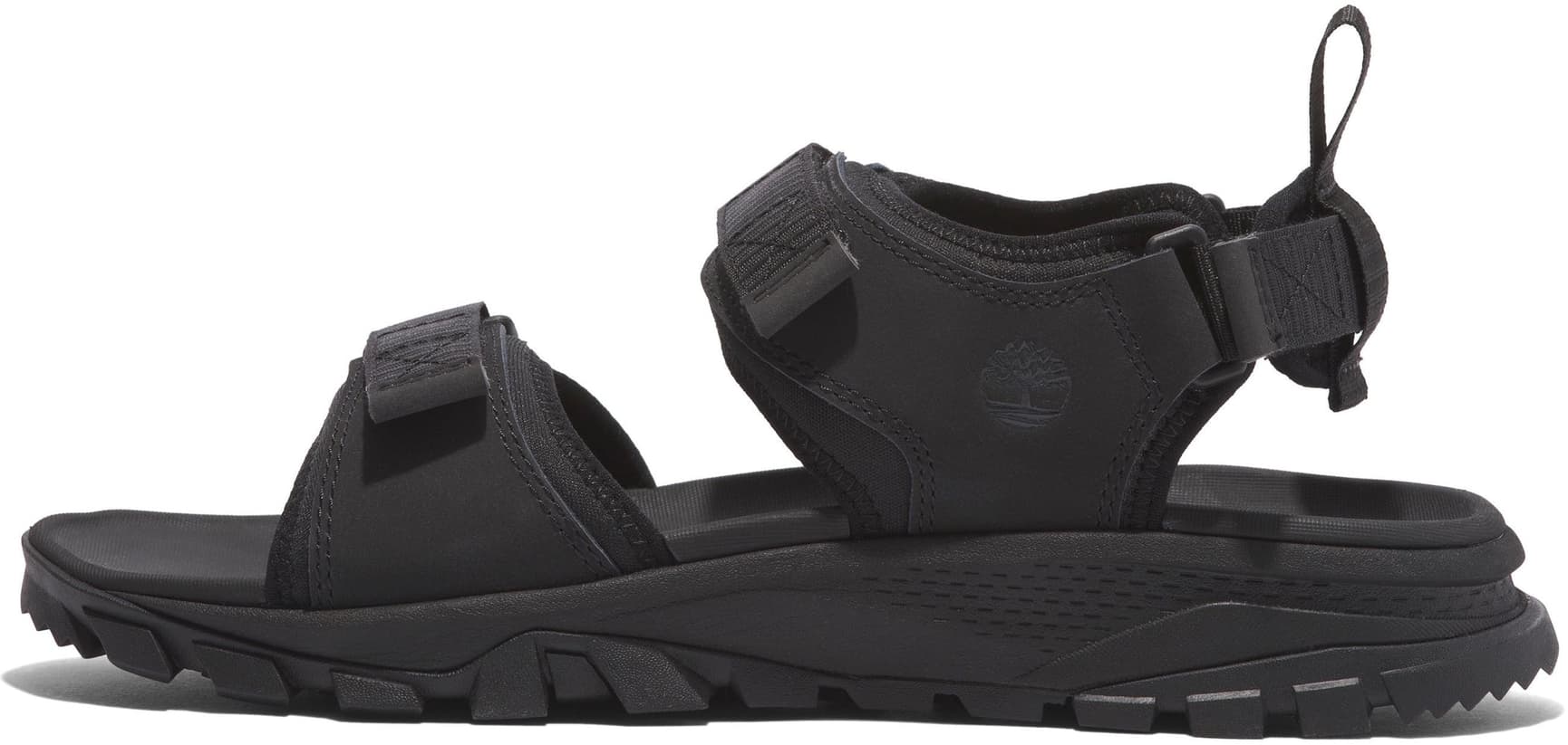 Lincoln Peak 2 Strap Sandal naisten sandaalit, Blk Leather, view: 1