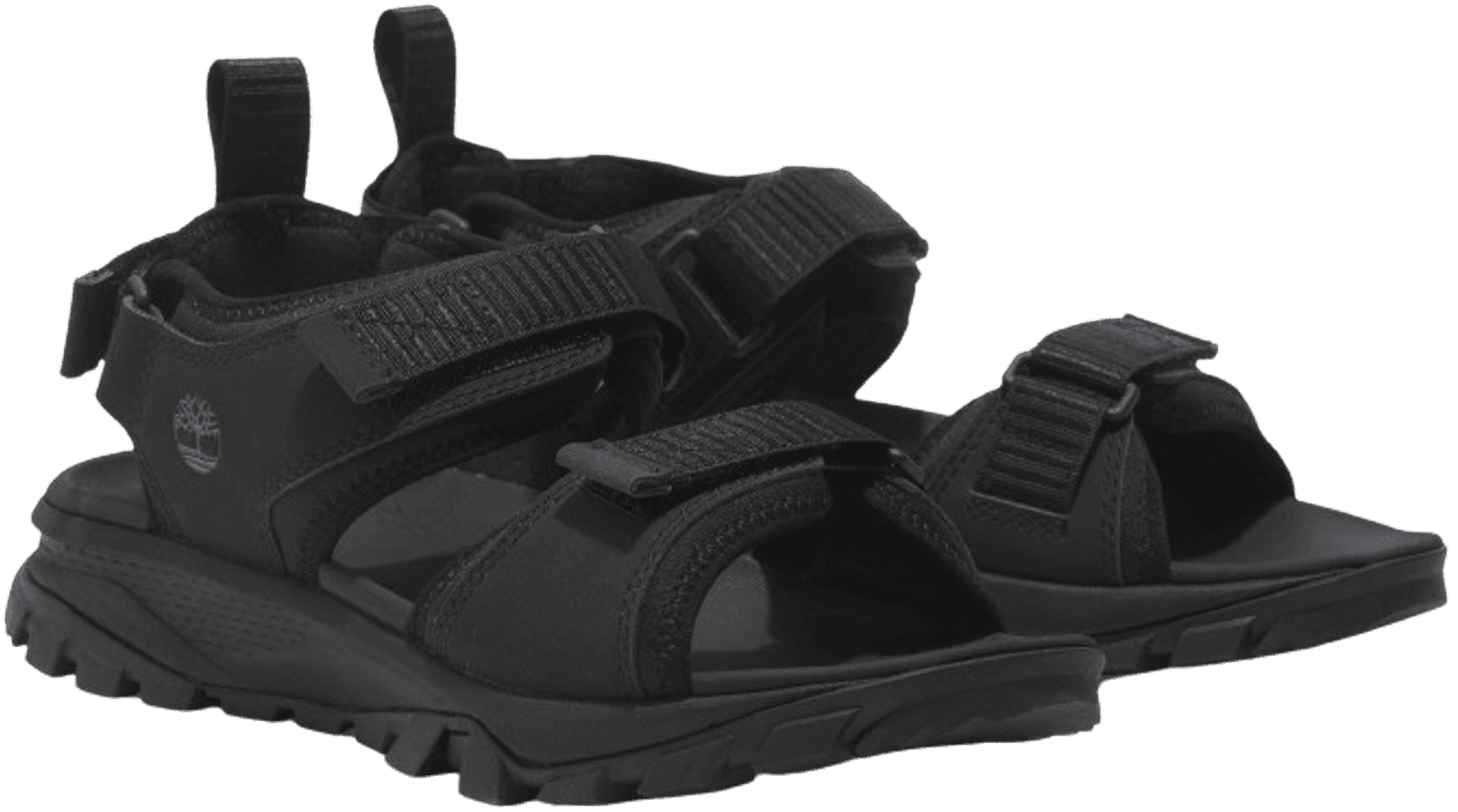 Lincoln Peak 2 Strap Sandal naisten sandaalit, Blk Leather, view: 2