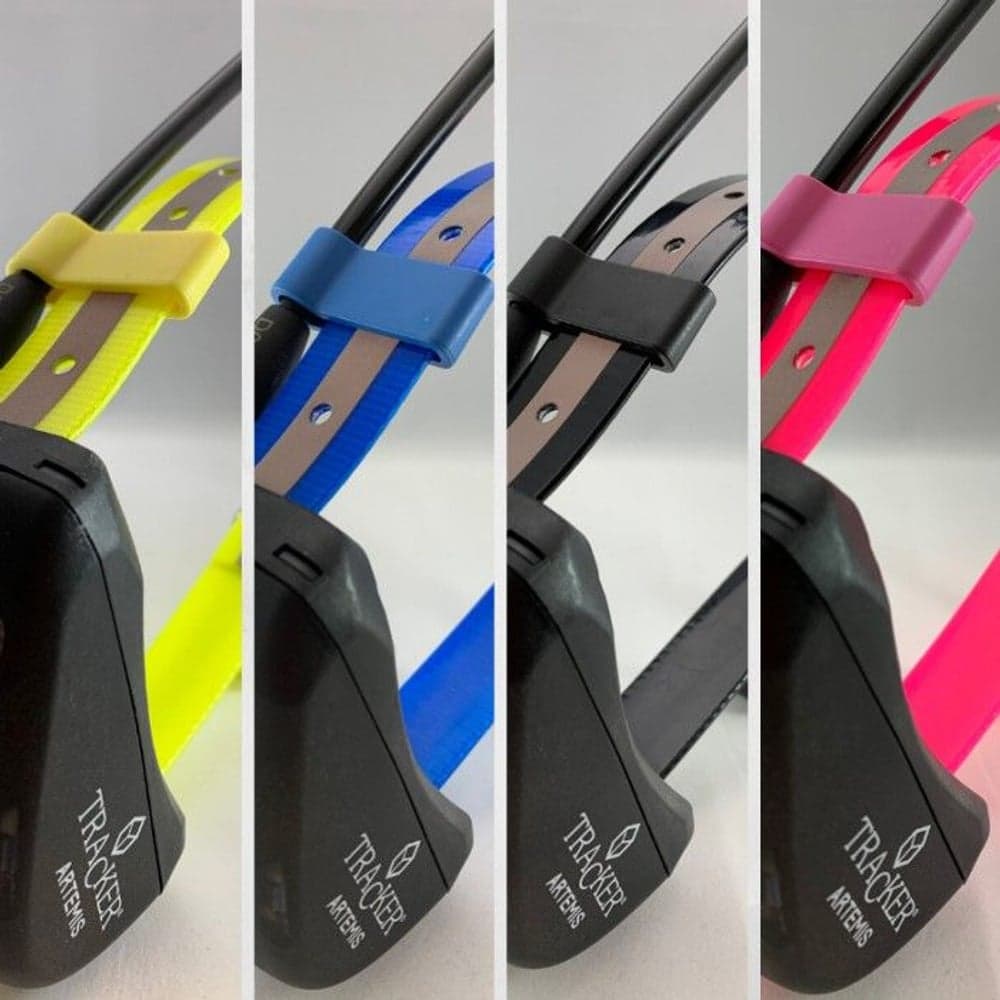 Artemis antennipidike, view: 0