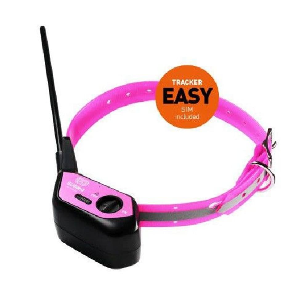 Lady Supra Easy -koiratutka, view: 0