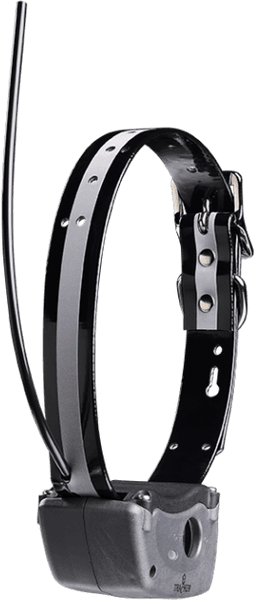 G10i koiratutka, view: 1