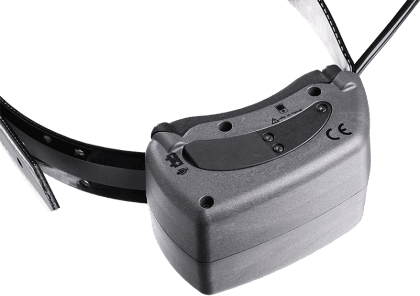 G10i koiratutka, view: 4