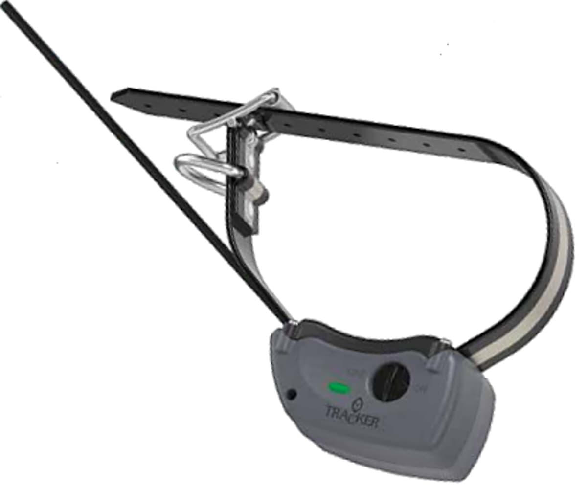 G10i koiratutka, view: 0