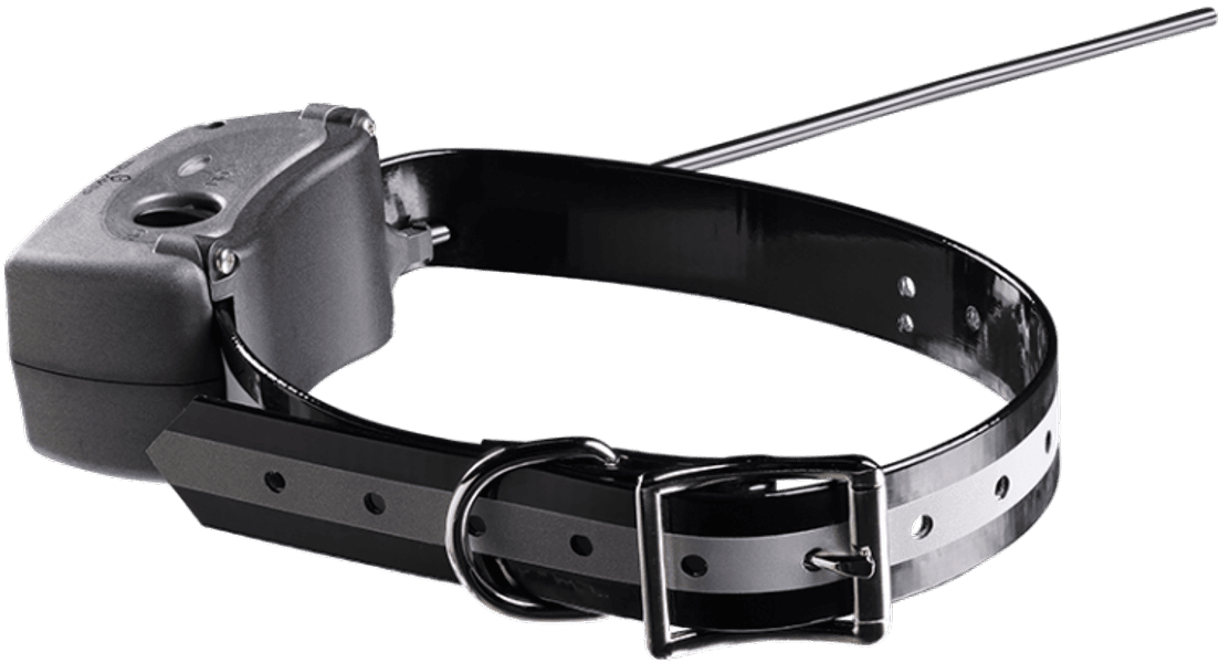 G10i koiratutka, view: 2