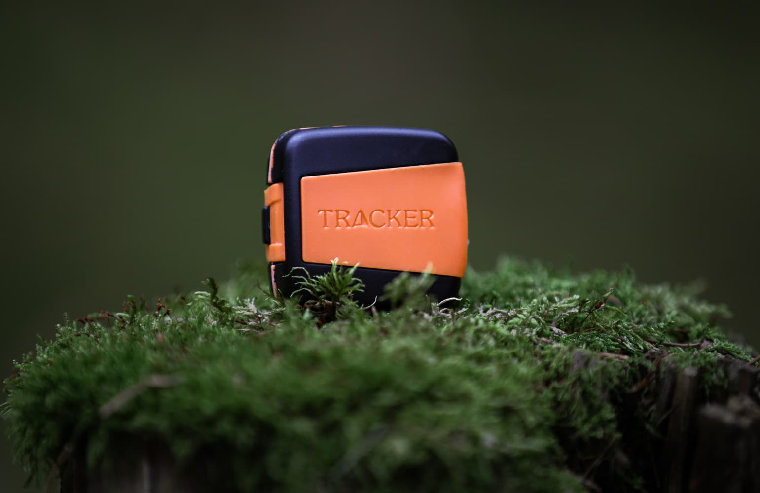 Bark koiranseurantalaite, view: 2