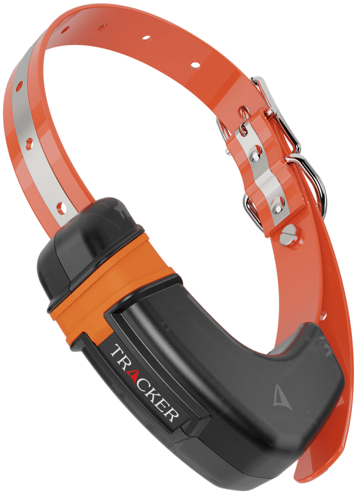 Luna koiratutka, view: 0