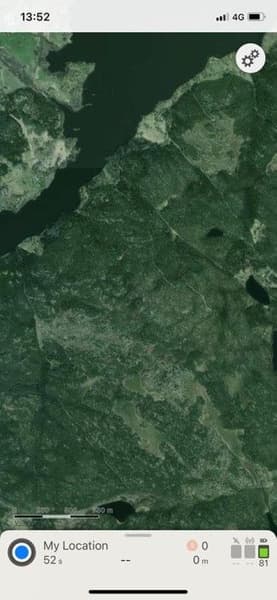 Supra -koiratutka, view: 3