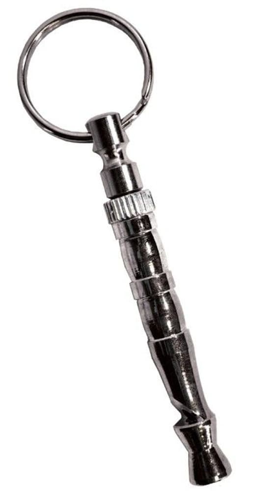 Yliäänipilli, view: 0