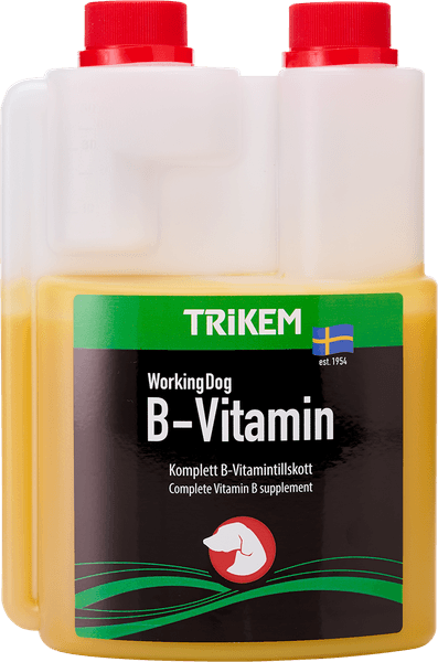 B-Vitamin 500 ml, productDetailPage.view: 0
