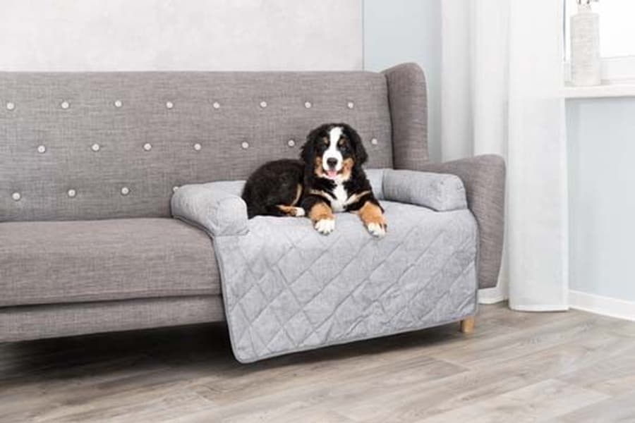 Nero sohvapeti, view: 0