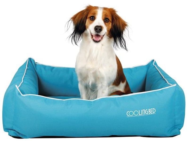 -viilentävä koiranpeti 65 x 50 cm, view: 0