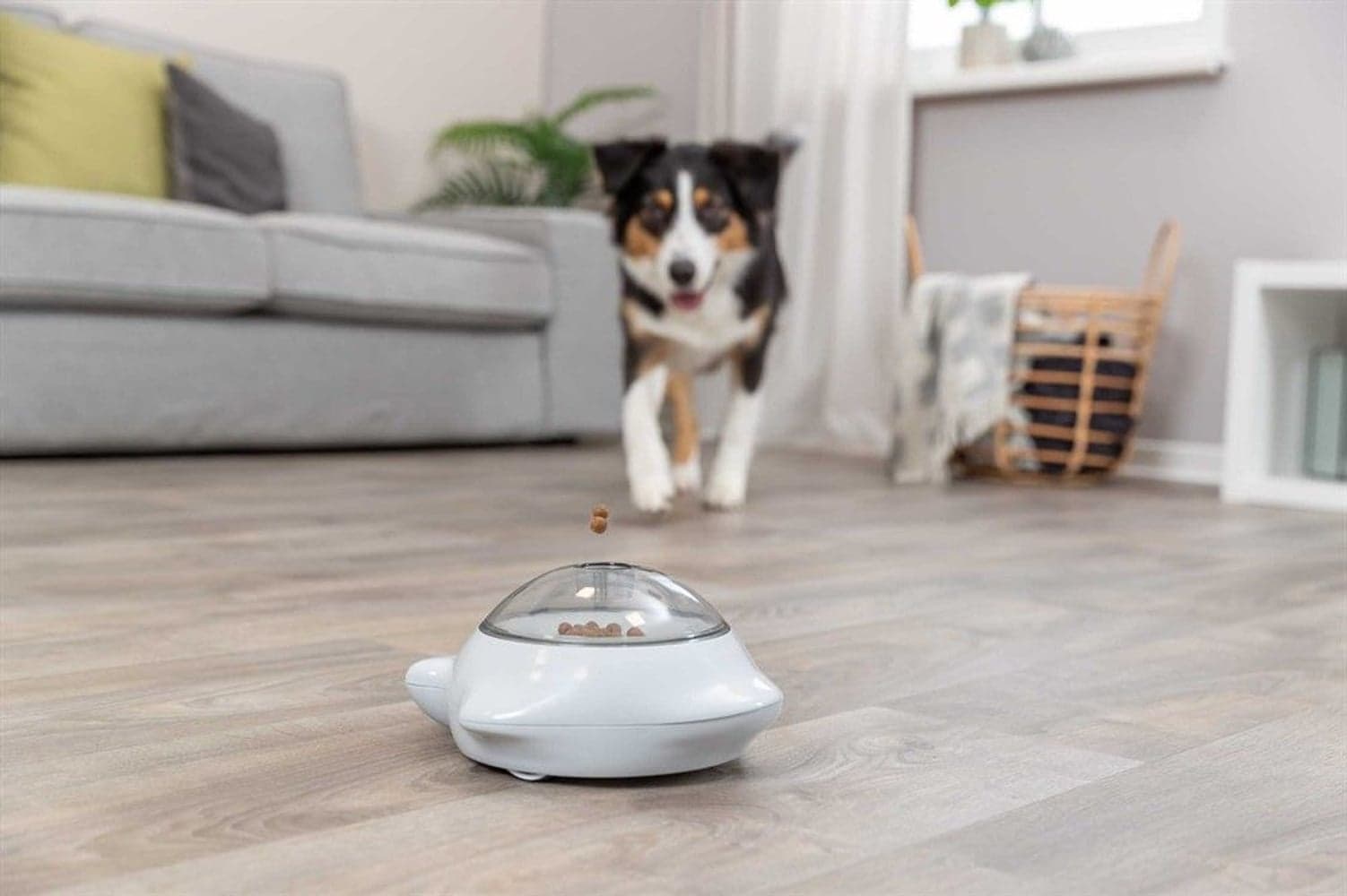 Snack Popper Grå, view: 3