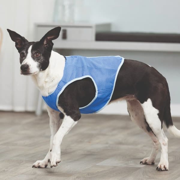 viilentävä liivi koirille, L, view: 1