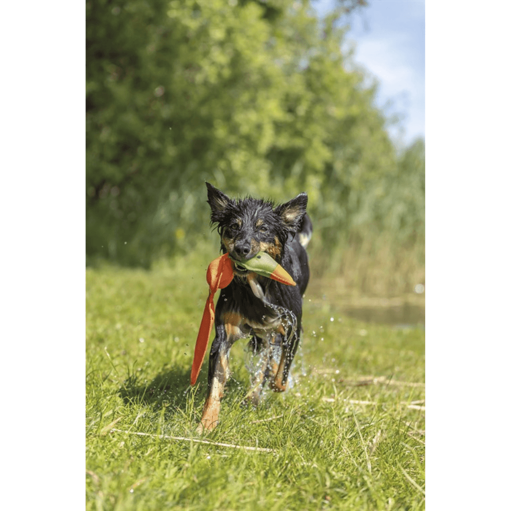 kelluva ankkalelu, 50 cm, view: 3