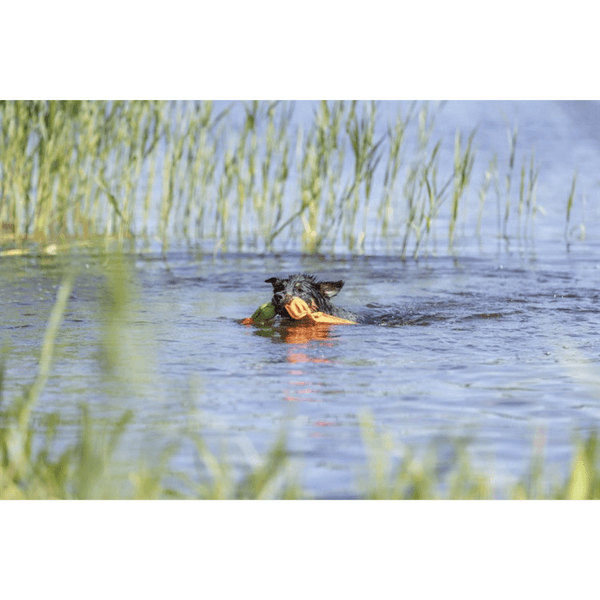 kelluva ankkalelu, 50 cm, view: 2