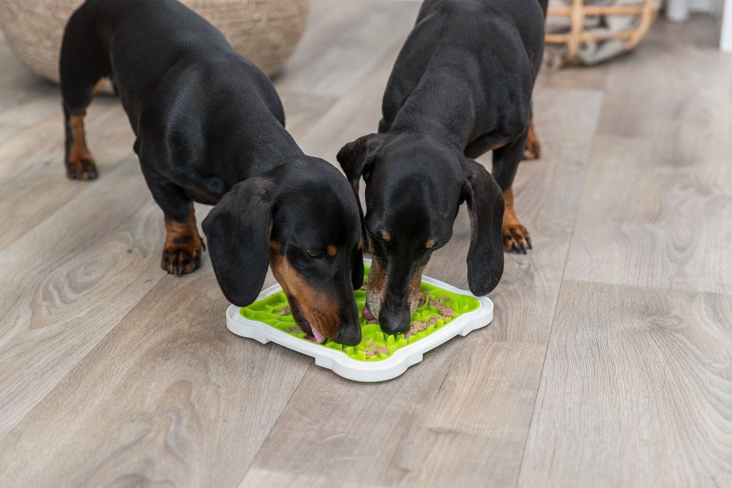 Lick'N'Snack Lautanen, view: 1