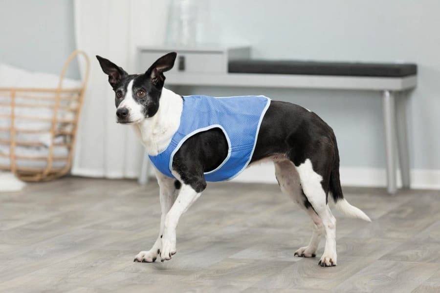 viilennysliivi 40 cm, XL, view: 2