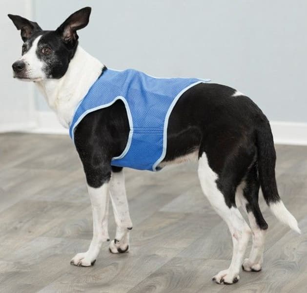 viilentävä liivi koirille, XS, view: 1