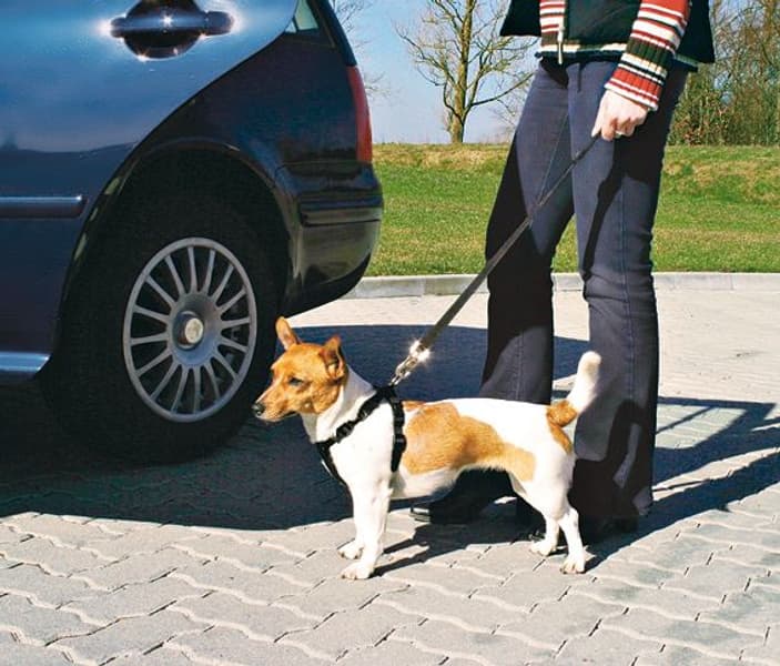 koiran autovaljaat, 30 - 60 cm, view: 1