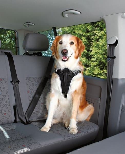 Dog Protect -koiran turvavaljaat autoon, view: 2