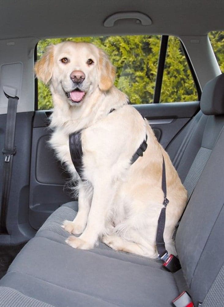 koiran autovaljaat, 50 - 70 cm, view: 0