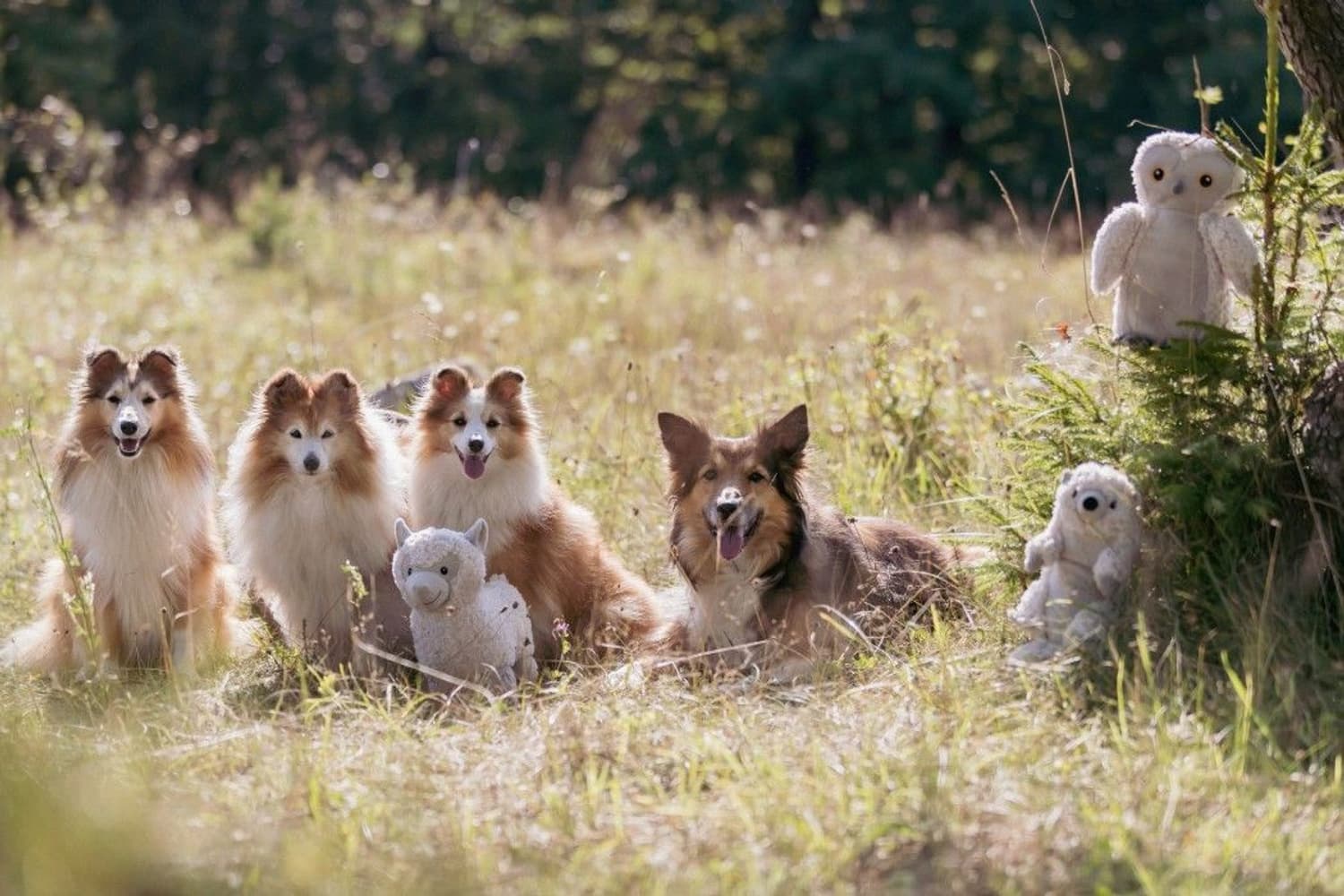 Be Eco koiran lelu, Emily-pöllö, 28 cm, view: 2