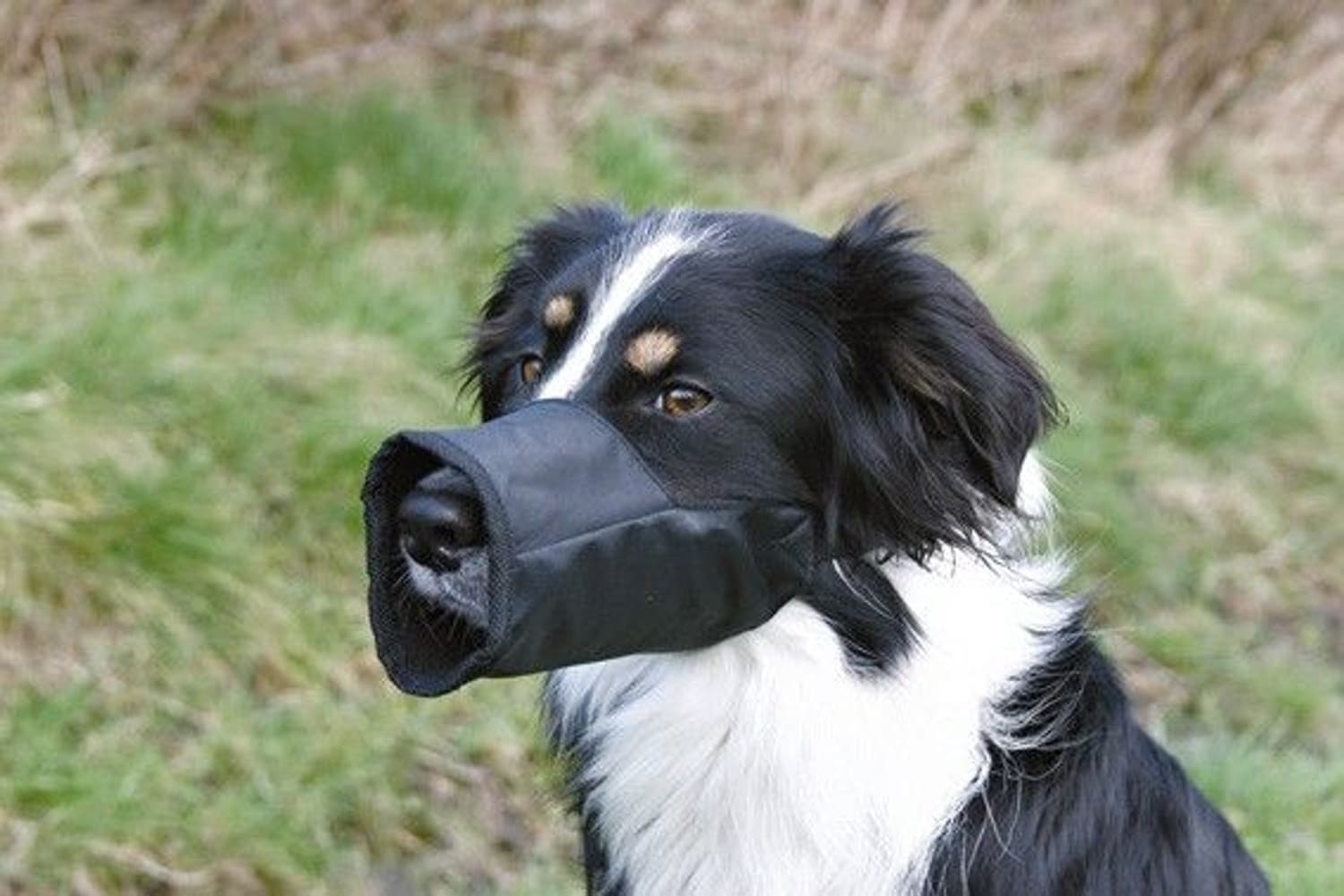 -säädettävä kuonokoppa, XS, 12 cm, view: 0