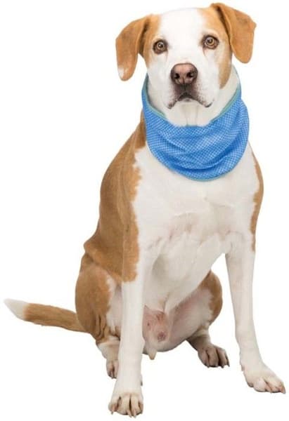 Jäähdytyshuivi PVA XL 46-56 cm, view: 1