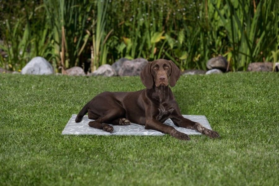 viilennysalusta 50 × 40 cm, M, view: 4