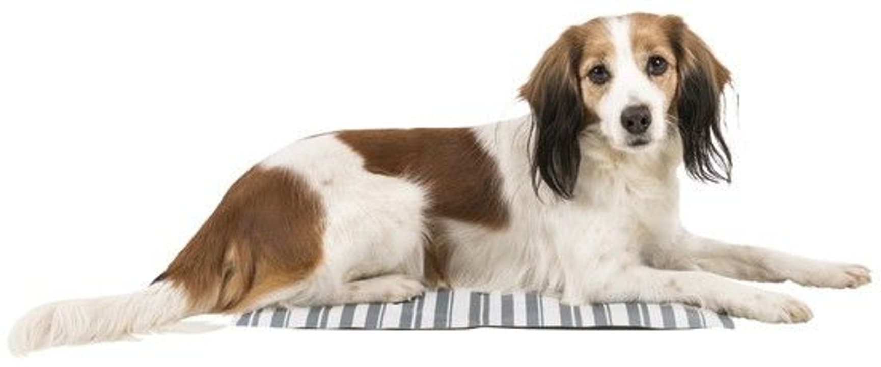 viilennysalusta, 65x50 cm, valkoinen/vihreä, view: 1