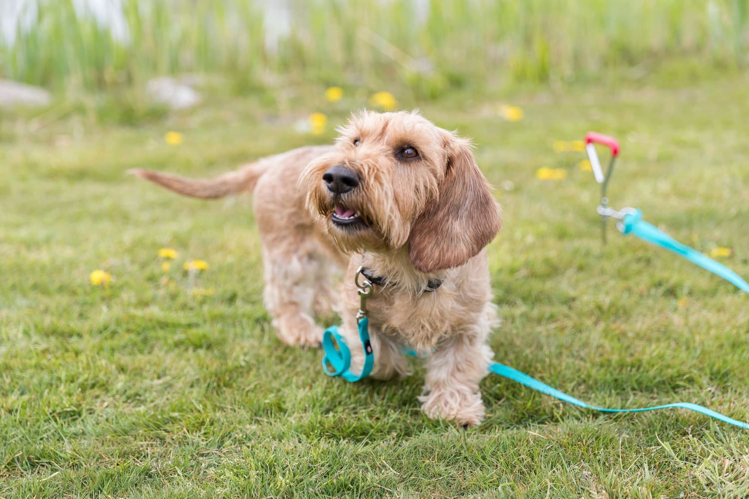 maakoukku, 40 cm/ø 9,0 mm, view: 1