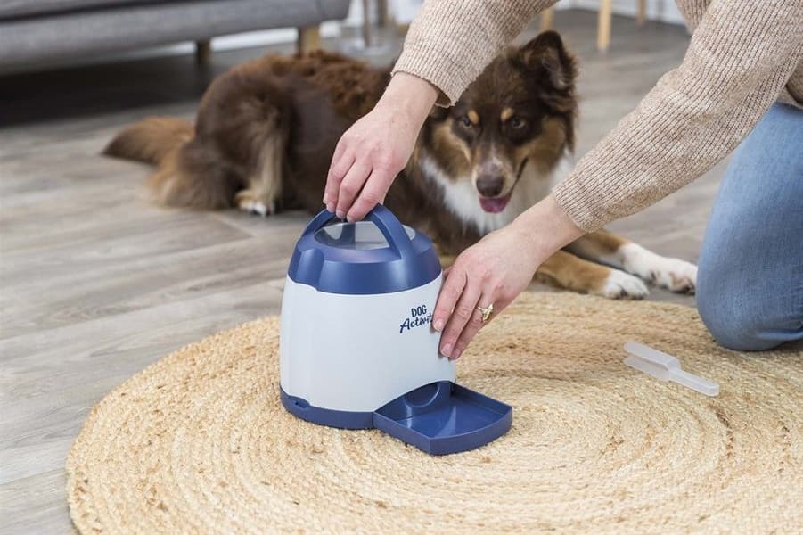 Memory Trainer 2.0 -aktivointilelu, view: 4