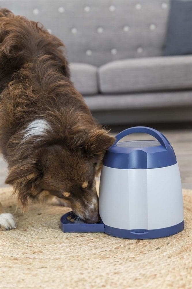 Memory Trainer 2.0 -aktivointilelu, view: 3