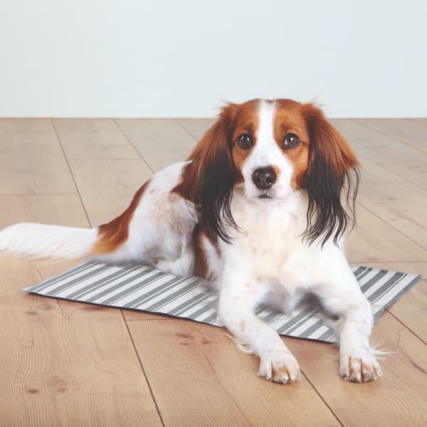 -viilennysalusta, 50 x 40cm, view: 1