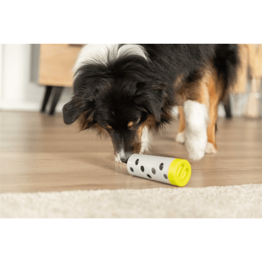 Dog Activity Snack Roll -aktivointilelu, view: 2