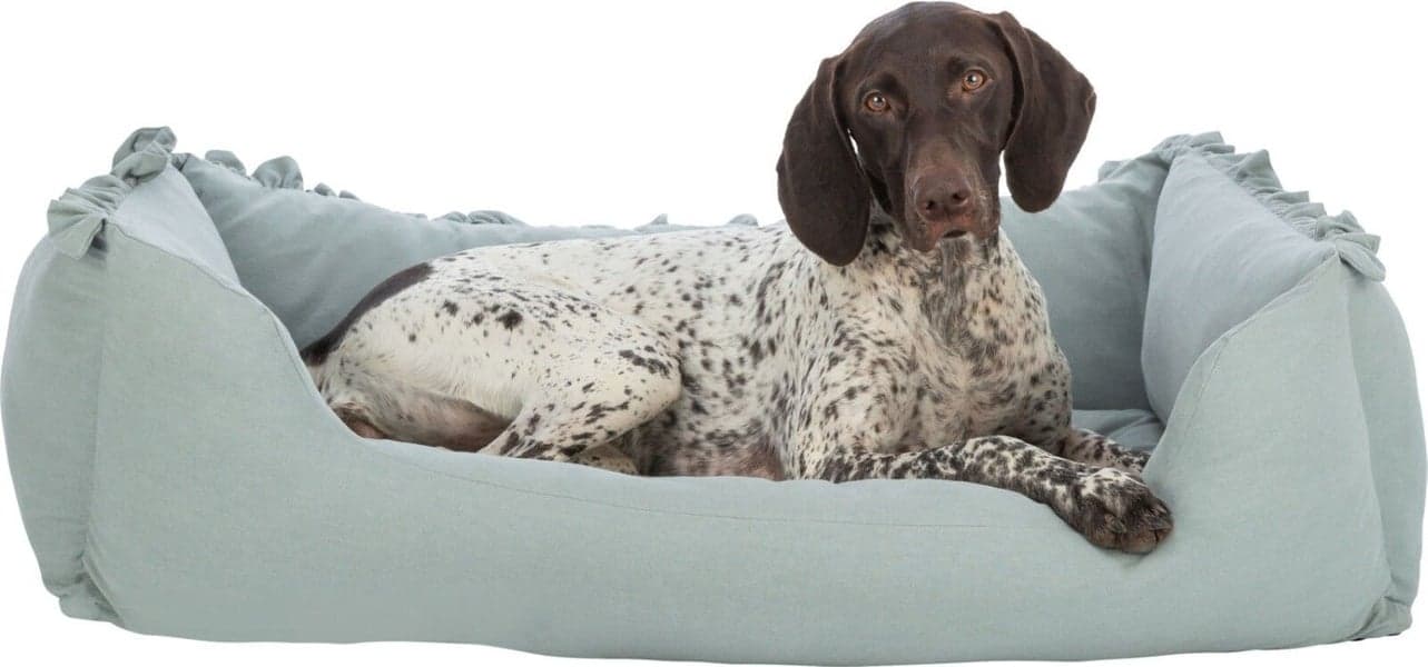 Amelie koiranpeti 100 x 70 cm Sage, view: 1