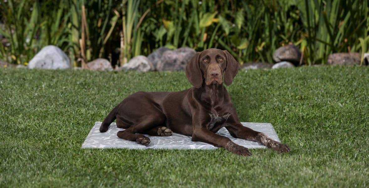 viilennysalusta 110 × 70 cm, XXL, view: 3