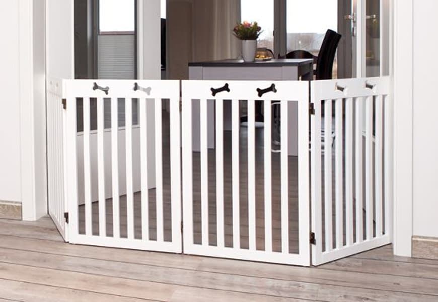 -koiraportti 4-osainen 60-160 × 75 cm, view: 1