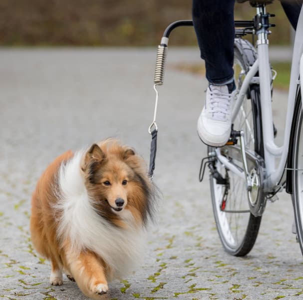 Biker Set -pyöräilytalutin, view: 1