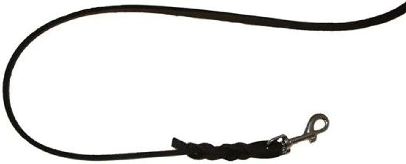 -nahkainen talutushihna, 180 cm/18 mm, view: 0