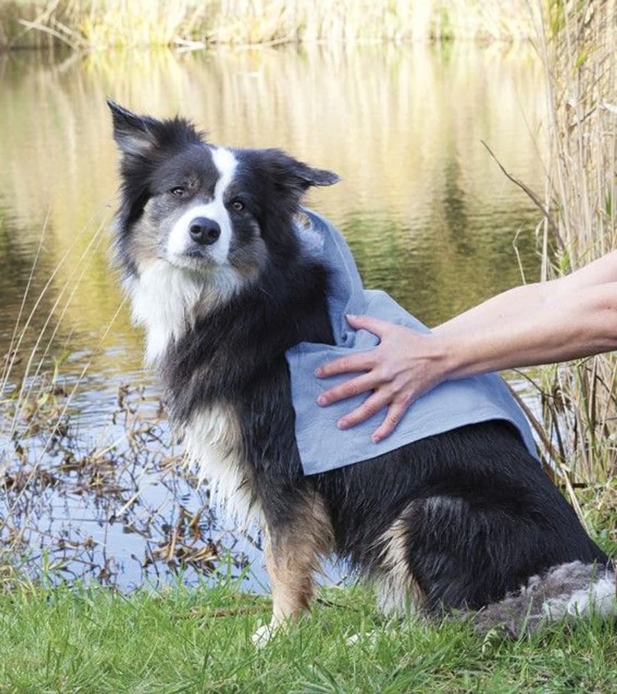 -koiran pyyhe, 50 x 60 cm, view: 2