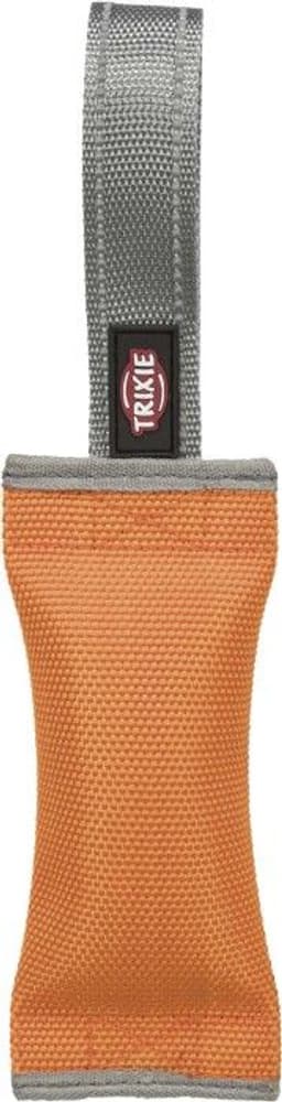 Training Dummy, view: 0