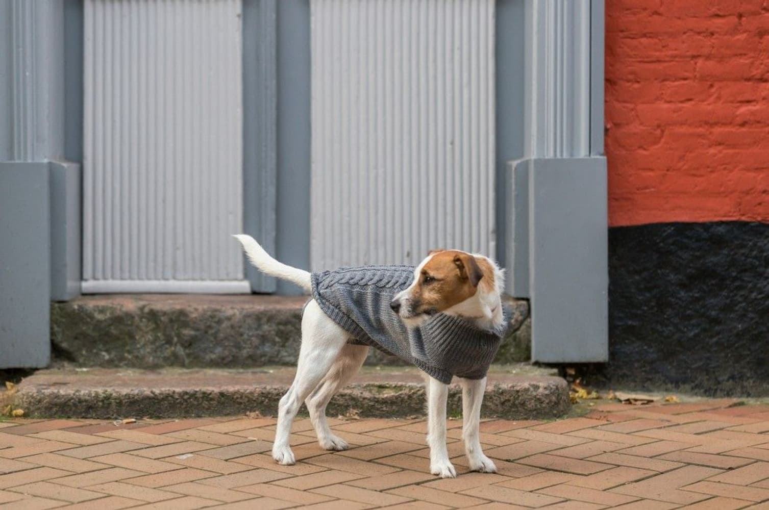 Kenton Pullover koiran villapaita, 55-60 cm, harmaa, view: 3