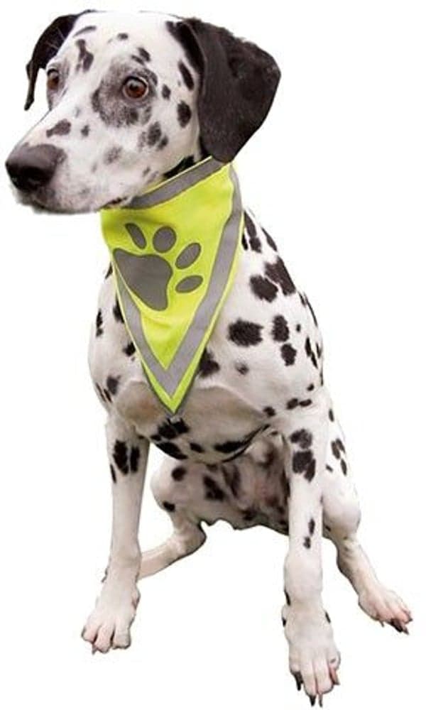 Safer Life -heijastinhuivi, view: 1