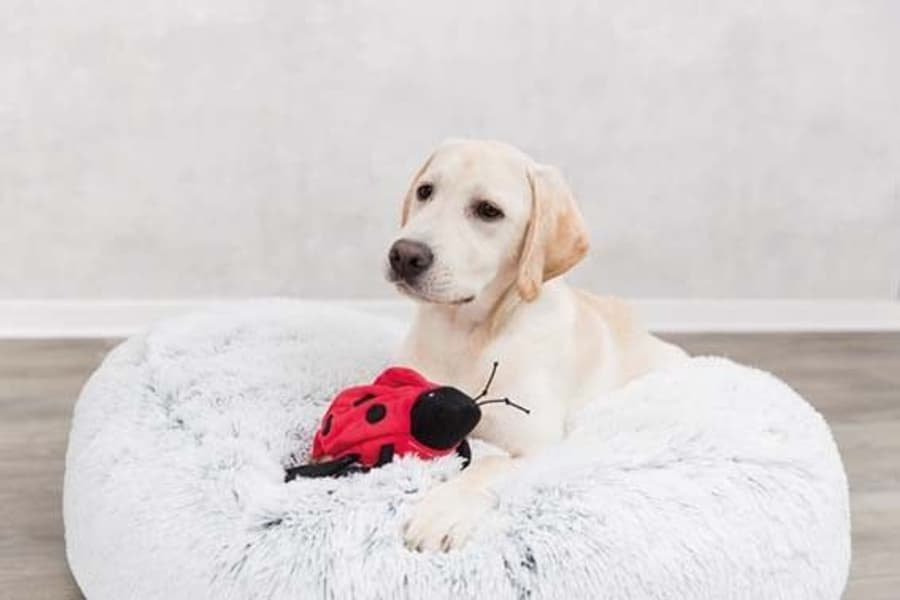 Dyna Harvey Ø100 cm Valkoinen/Musta, view: 2